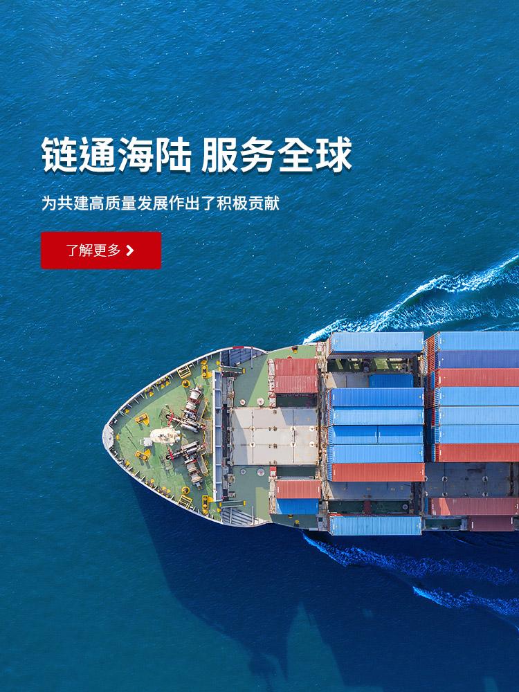 常州老子有钱lzyq88国际集装箱有限公司